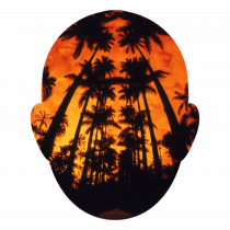 Summer In My Mind