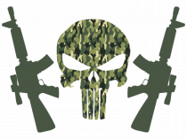 Punisher's Guns