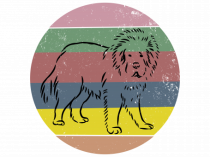 Tibetan Mastiff