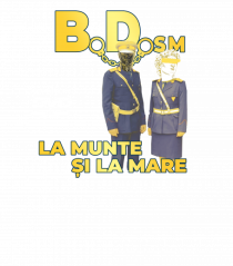 BDsm#2