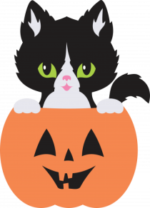 Pisica Neagra Halloween 8