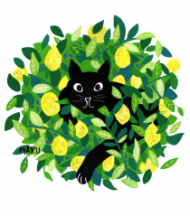 Capri cat