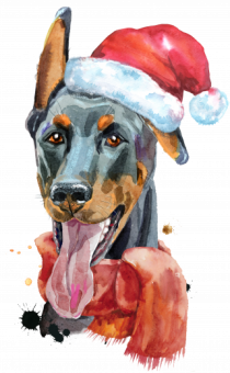 Doberman Santa Hat