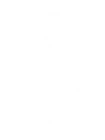 Dream Catcher