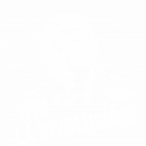 VIVA LA INVOLUCION - CHE GUEVARA - CIMPANZEU - trump B