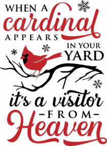 Cardinal Full Xmas
