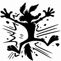 COIOTUL 2