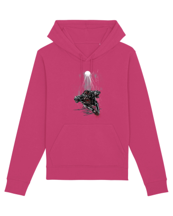 Cerberus Raspberry