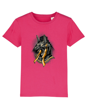 Anubius Raspberry