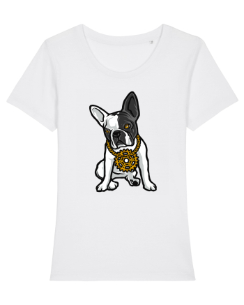 Golden Boston Terrier White