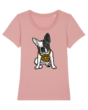 Golden Boston Terrier Canyon Pink