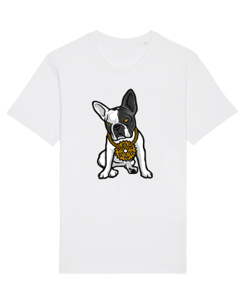 Golden Boston Terrier White
