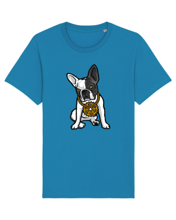Golden Boston Terrier Azur