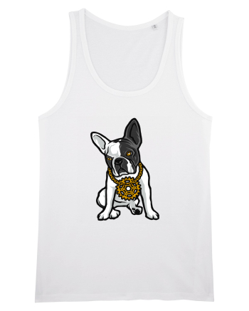Golden Boston Terrier White