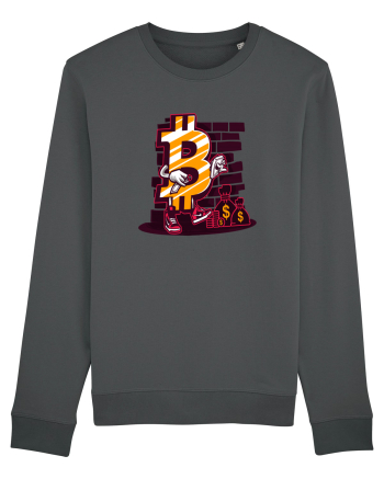 Bitcoin Master Anthracite
