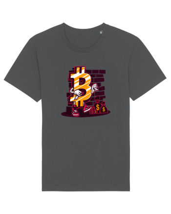 Bitcoin Master Anthracite
