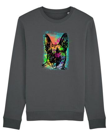German Shepherd Anthracite