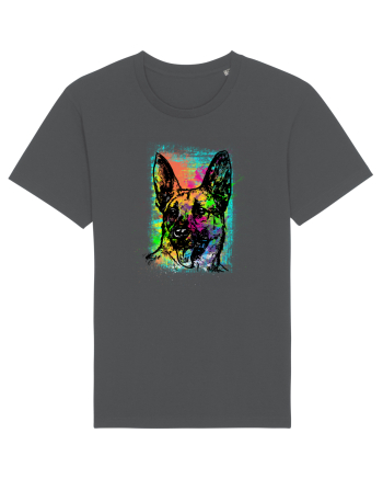 German Shepherd Anthracite