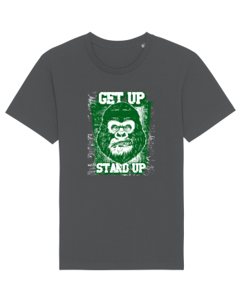 Get Up Stand Up Anthracite