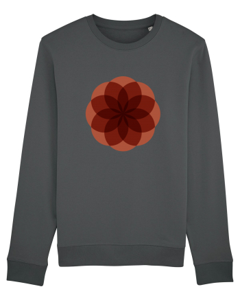 Color Wheel - red flower Anthracite