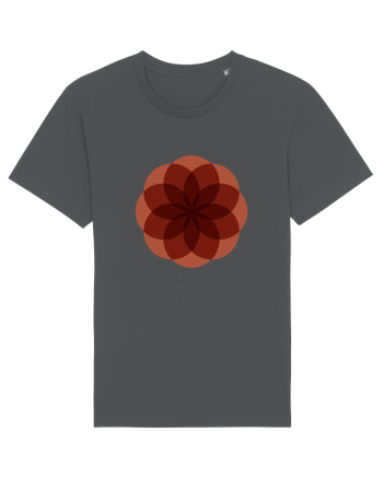 Color Wheel - red flower Anthracite