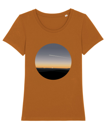 Photo Illustration - airplane in the sunset Roasted Orange