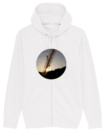 Photo Illustration - macro in the sunset 1 White