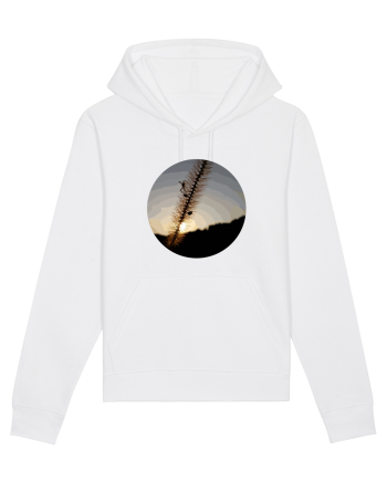 Photo Illustration - macro in the sunset 1 White