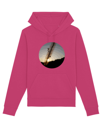 Photo Illustration - macro in the sunset 1 Raspberry