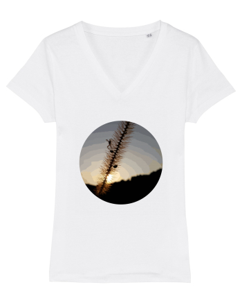 Photo Illustration - macro in the sunset 1 White