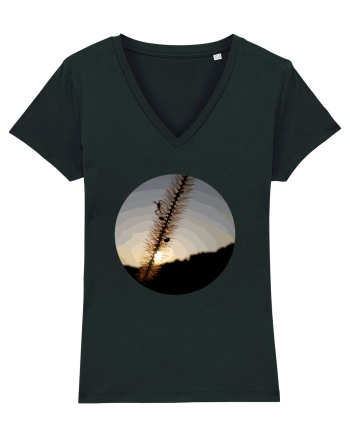 Photo Illustration - macro in the sunset 1 Black