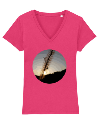 Photo Illustration - macro in the sunset 1 Raspberry