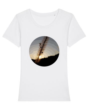 Photo Illustration - macro in the sunset 1 White