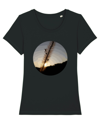 Photo Illustration - macro in the sunset 1 Black