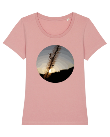 Photo Illustration - macro in the sunset 1 Canyon Pink