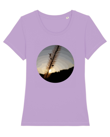 Photo Illustration - macro in the sunset 1 Lavender Dawn
