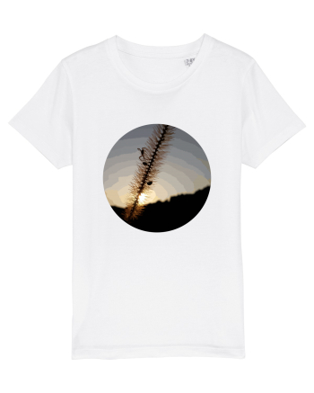 Photo Illustration - macro in the sunset 1 White