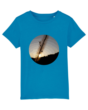 Photo Illustration - macro in the sunset 1 Azur