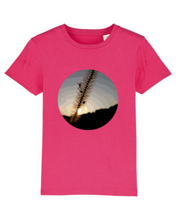 Photo Illustration - macro in the sunset 1 Raspberry