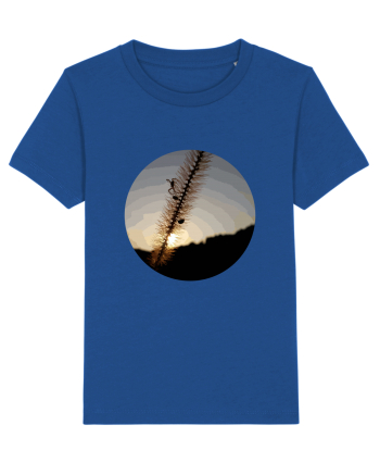 Photo Illustration - macro in the sunset 1 Majorelle Blue