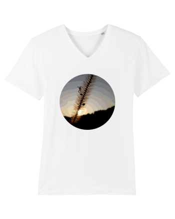 Photo Illustration - macro in the sunset 1 White