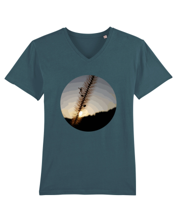 Photo Illustration - macro in the sunset 1 Stargazer