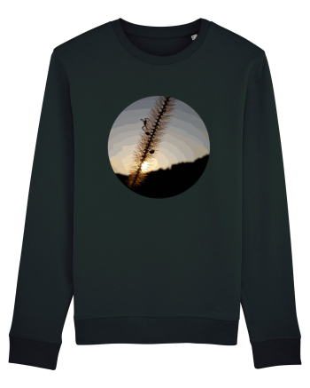 Photo Illustration - macro in the sunset 1 Black