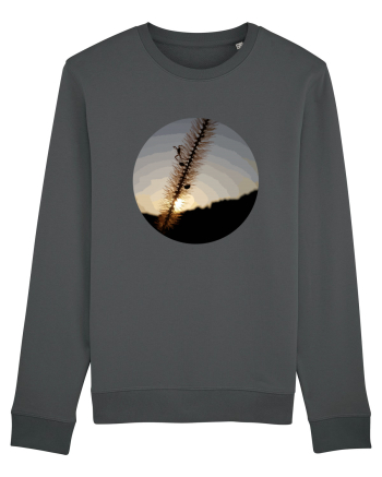 Photo Illustration - macro in the sunset 1 Anthracite