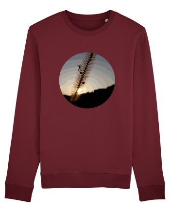 Photo Illustration - macro in the sunset 1 Burgundy