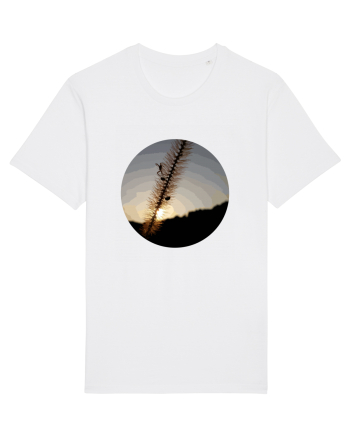 Photo Illustration - macro in the sunset 1 White