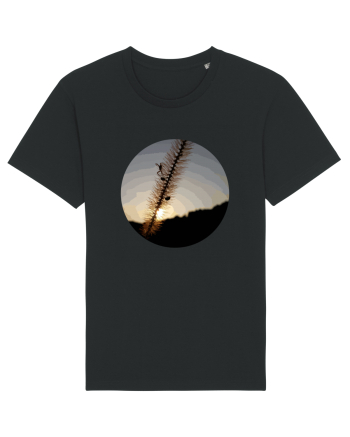 Photo Illustration - macro in the sunset 1 Black