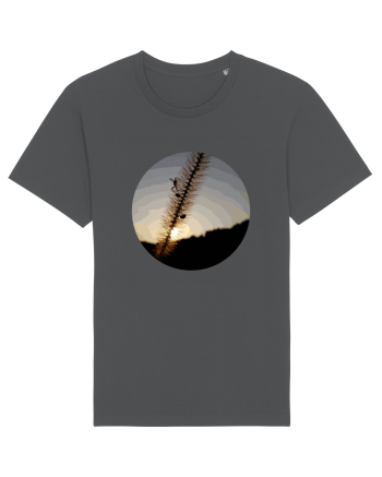 Photo Illustration - macro in the sunset 1 Anthracite