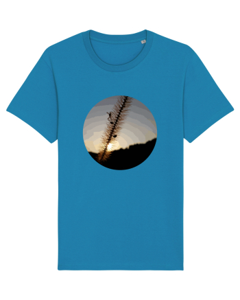 Photo Illustration - macro in the sunset 1 Azur