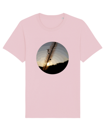 Photo Illustration - macro in the sunset 1 Cotton Pink